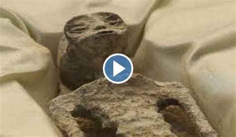 Image result for Alien Skull Found in Mexico