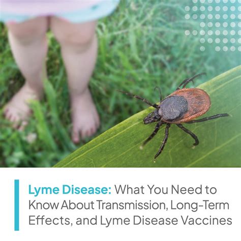 Lyme Disease Vaccine History and Progress - Velocity Clinical Research