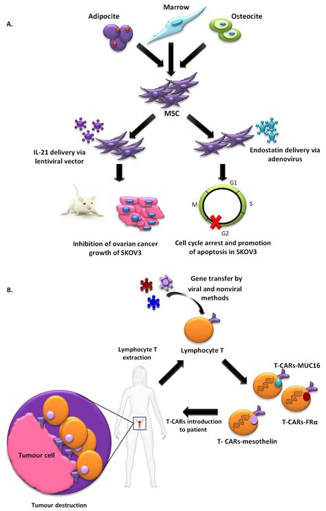 Gene Therapy 的图像结果