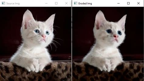 Image result for OpenCV Python Contour Erode