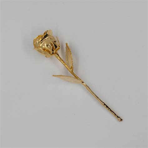 Buy Decor | Fresh Red Rose Gold Dipped 24k | Shop at The Purple Turtles ...