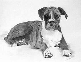 how to draw brown eyes with pencil