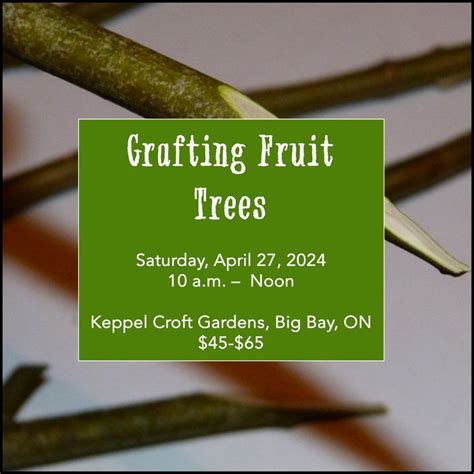 Fruit Tree Grafting, Keppel Croft Gardens, Wiarton, 27 April 2024 ...