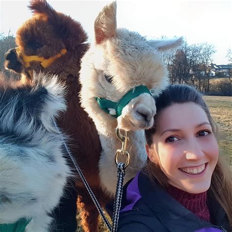 Alpakas & Lamas am Nürburgring