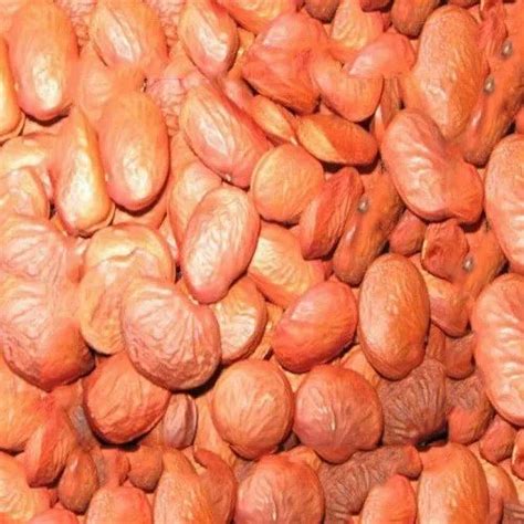 SEED & STEM HERBS - Sahejan (moringa) Seed Trader - Wholesaler ...