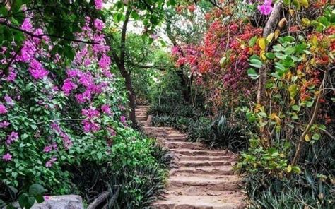 Exploring Civil Lines, New Delhi: A Comprehensive Guide - Dwello