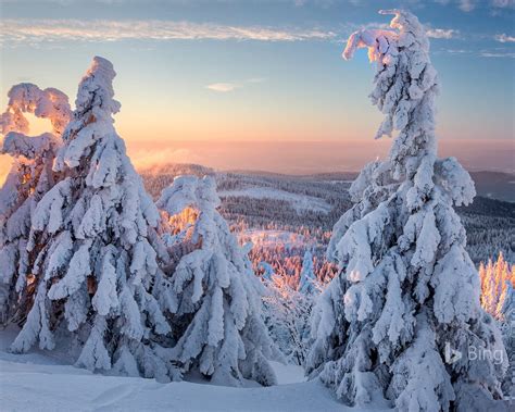Bing Wallpaper Germany 的图像结果
