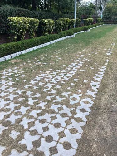 Paver Block - Grass Concrete Paver Blocks Manufacturer from Dera bassi