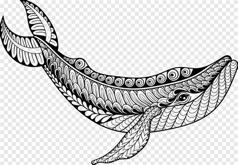 Image result for Python Text Box Input and Output