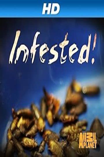 Image result for Watch Infested 2002