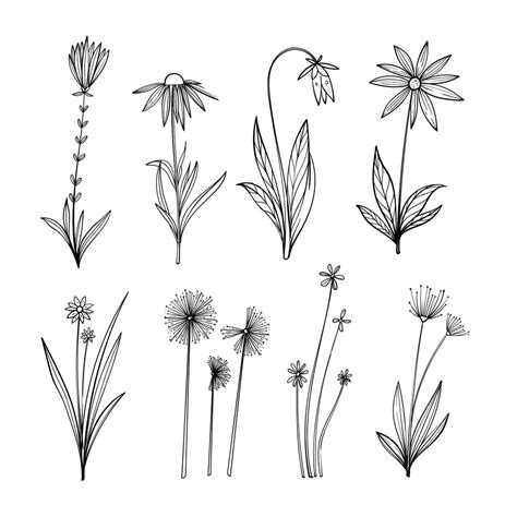 Easy Flower Vector 的图像结果