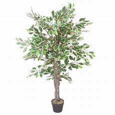 Real Looking Faux Trees by 105cm Large Ultra Realistic White Edge Ficus Artificial Real Looking Faux Trees