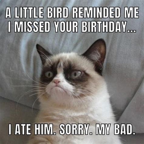 50+ Funny Happy Belated Birthday Memes for Everyone