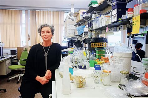 Groundbreaking discovery in Portugal “could revolutionise oral treatment of certain types of ...