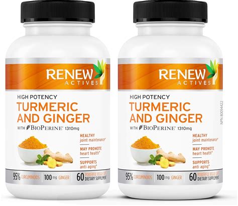 GINGER TURMERIC CURCUMIN Supplement Capsules: Organic Joint Support & Anti Inflammatory Pills ...