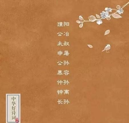 中国最美的“五大复姓”，取什么名字都好听，看看有你的姓氏吗_历史