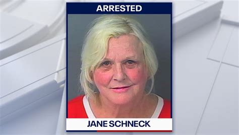 Nick and Aaron Carter's mom arrested in Hernando County over remote ...