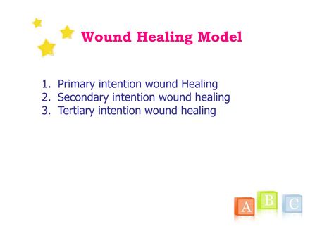 Update management in wound care 16 oct 13 | PDF