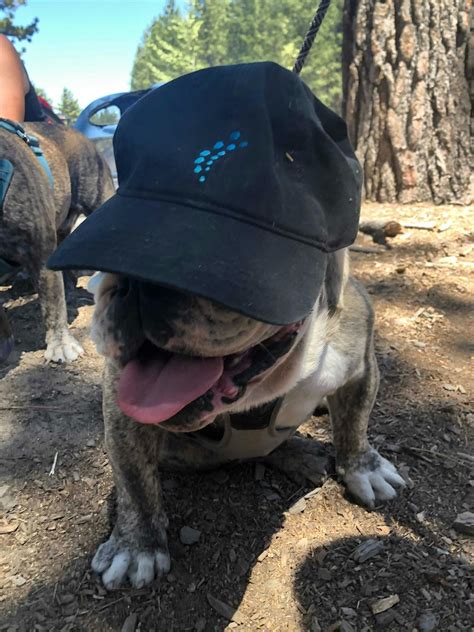 Working at Facet Wealth | Great Place To Work®