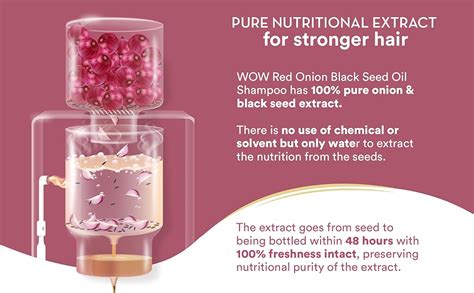 Buy WOW Skin Science Red Onion Black Seed Oil Shampoo with Red Onion ...
