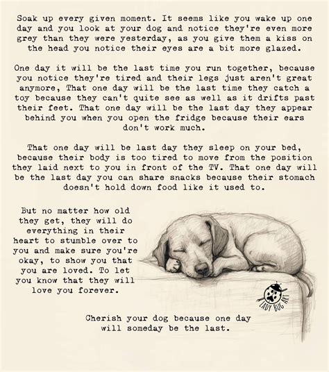 Pin by Debbie Heimann Motto on Doggy~licious | Dog lover quotes, Dog ...