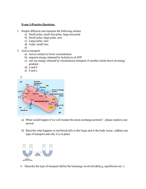 Becker's World of The Cell chapter 8,9,10,12 practice questions - Exam ...