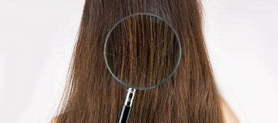 High or low, which porosity is good for hair - explained – Re'equil