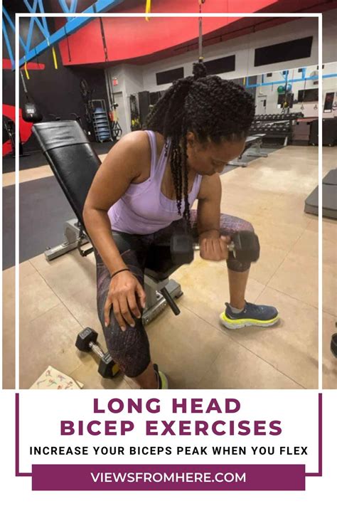 Long head bicep exercises • Views From Here