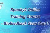 Image result for Spooky2 Biofeedback Scan