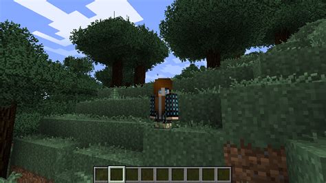 Image result for Minecraft Character Mod