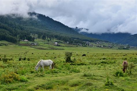 Gom Kora Trashi Yangtse | Buddhist Monastery in Bhutan