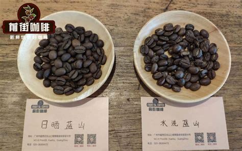 正宗蓝山咖啡豆风味口感特点描述 真蓝山咖啡手冲怎么冲煮才好喝 中国咖啡网