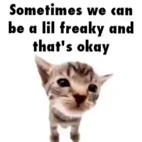 Freaky Cat - Memes - Worst Jokes Ever