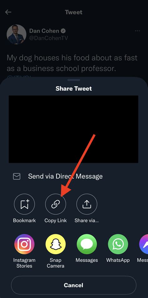 How To Save A GIF From Twitter - Tech