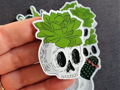 Buy 3 Cactus Stickers Growing Inside Skull Succulent Stickers Online in ...