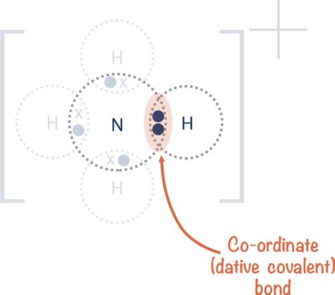 Co-ordinate (dative) Bonding (A-Level) | ChemistryStudent