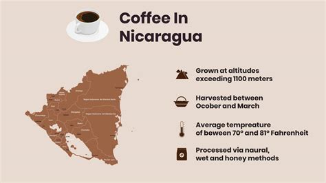The Ultimate Nicaraguan Coffee Guide 2022