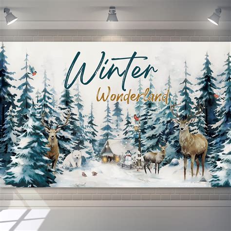 Amazon.com: Ctosree Blue Winter Wonderland Backdrop Hello Banner ...