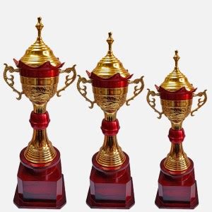 BAREEZÉ PURE Metal Trophy Set of 3 for Appreciation Gift, Sport ...