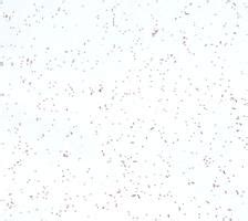 Shop Terrazzo Texture finish Star Mica SSG 1 White Sparkle PR+ ...