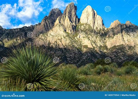 Dawn Light at Organ Mountains-Desert Peaks National Monument in New ...