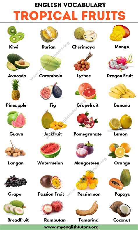 List of fruits list of 40 popular fruit names with useful examples ...