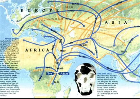 Human Origins Explained 的图像结果