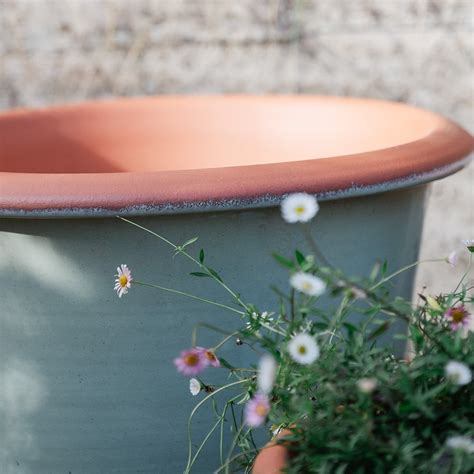 Buy Sage green flared planter: Delivery by Waitrose Garden