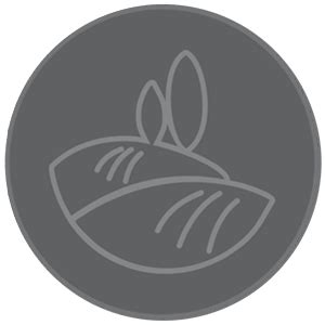 The Gold By Samor - Samor Reality Limited