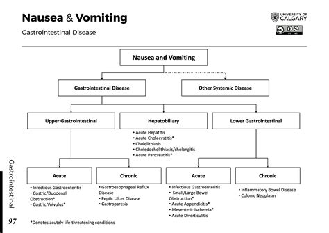 Pathophysiology Of Vomiting Physiology Of Nausea | SpringerLink