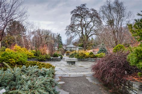 Botanic Gardens In Winter VanDusen Botanical Garden…Winter Visit