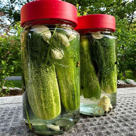 Deli-Style Half Sour Pickles Recipe