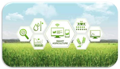 基于物联网的智慧农业系统怎样促进农业发展？-成都慧农
