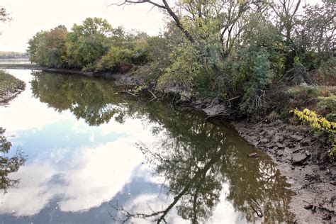 What causes erosion along Del. Watershed creeks, streams? - WHYY